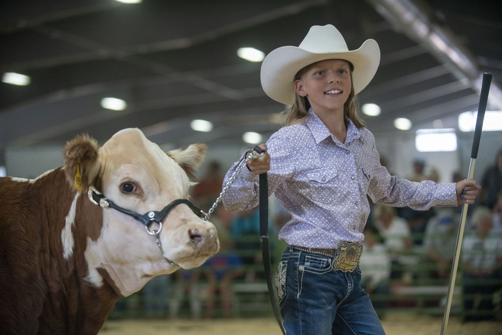4-H live stock auction